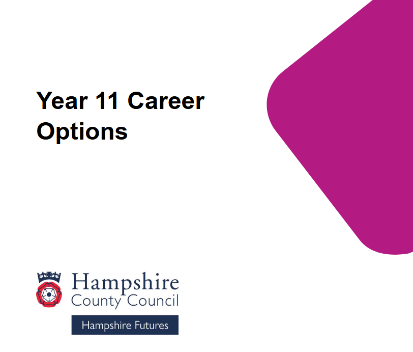 Image shows the top of the Year 11 Career Options webpage - clicking on the image will take you to the site.