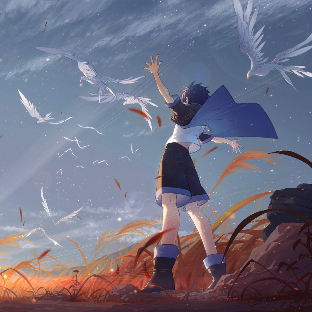 Image shows an anime still of a person in shorts standing facing the wind with their arms outstretched and clothing billowing, with white birds flying around them